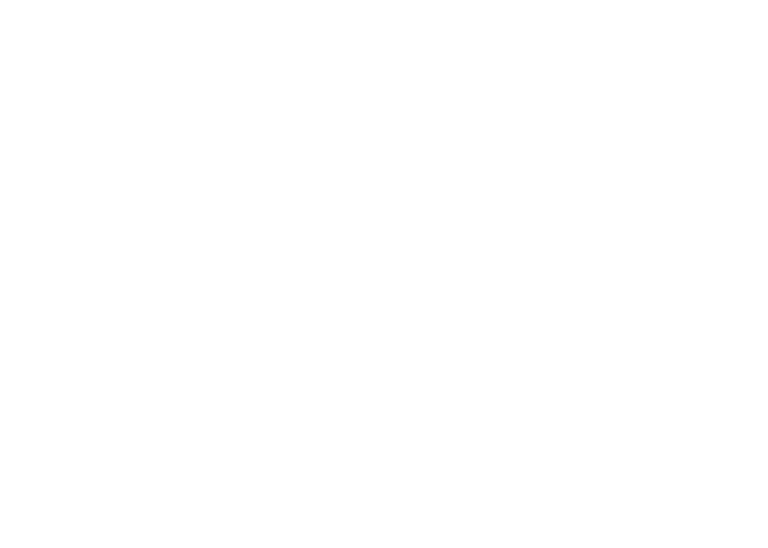 AMI-Logo web 9.png